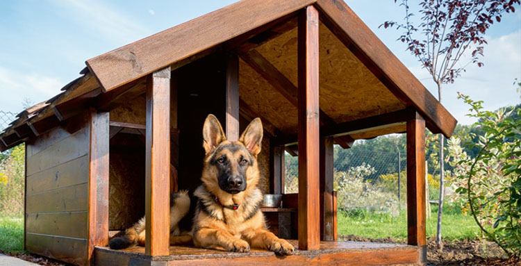 Построить будку для собаки своими руками (67 фото)