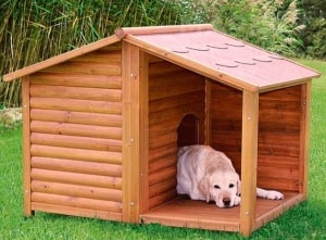 современная будка для собаки